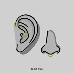 AW21 Earrings SURVIVAL. Barbed Wire Septum Clicker Ring - Gold