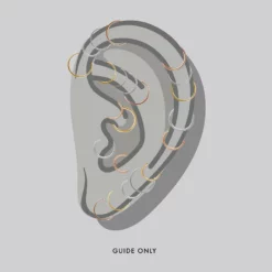 CLASSICS SASHA. Rose Gold Clicker Ring 15 CLASSICS SASHA. Rose Gold Clicker Ring