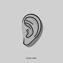 AW21 Earrings INSIDIOUS. Amethyst Coiled Snake Stud Earring - Silver